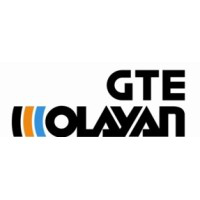 GTE Olayan Group logo